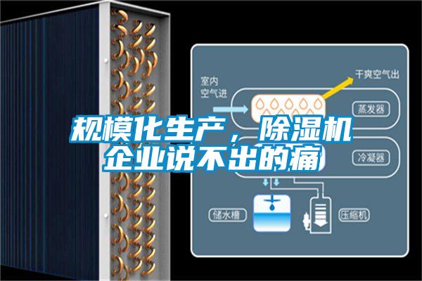 規(guī)模化生產(chǎn)，除濕機(jī)企業(yè)說(shuō)不出的痛