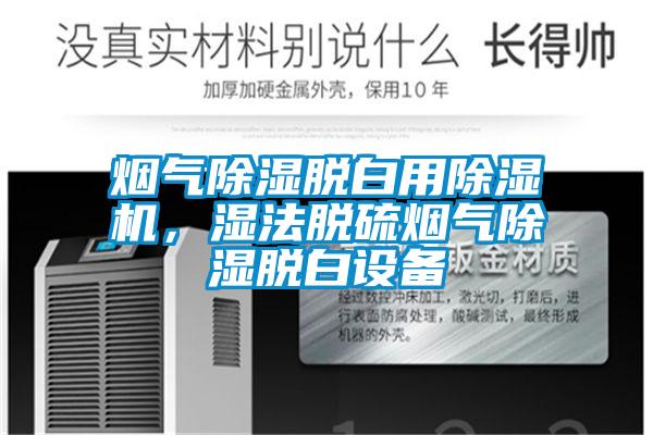 煙氣除濕脫白用除濕機(jī)，濕法脫硫煙氣除濕脫白設(shè)備