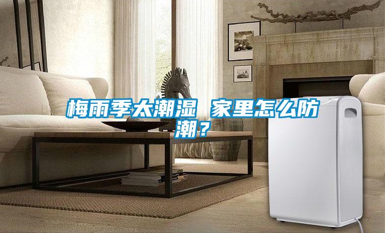 梅雨季太潮濕 家里怎么防潮？