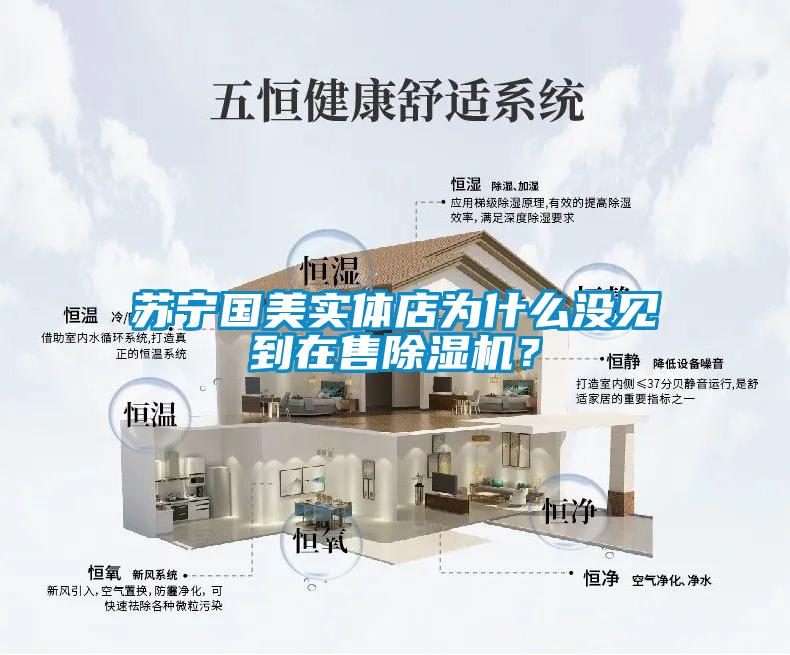 蘇寧國美實體店為什么沒見到在售除濕機？