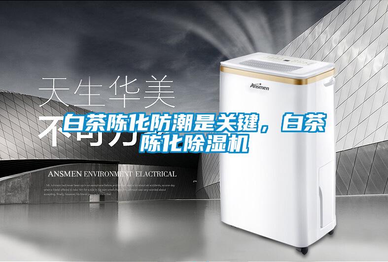 白茶陳化防潮是關(guān)鍵，白茶陳化除濕機