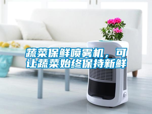 蔬菜保鮮噴霧機(jī)，可讓蔬菜始終保持新鮮