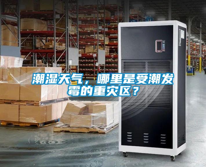 潮濕天氣，哪里是受潮發(fā)霉的重災(zāi)區(qū)？