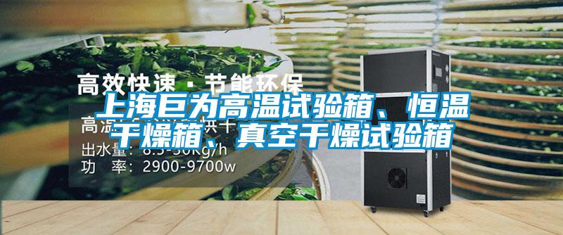 上海巨為高溫試驗(yàn)箱、恒溫干燥箱、真空干燥試驗(yàn)箱