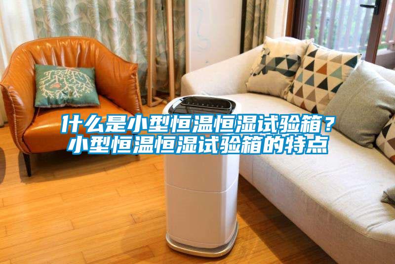 什么是小型恒溫恒濕試驗箱？小型恒溫恒濕試驗箱的特點