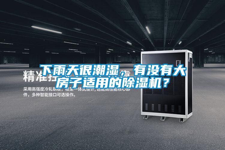 下雨天很潮濕，有沒有大房子適用的除濕機？