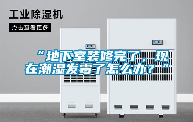 “地下室裝修完了，現(xiàn)在潮濕發(fā)霉了怎么辦？”