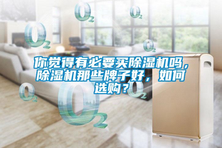 你覺得有必要買除濕機嗎，除濕機那些牌子好，如何選購？