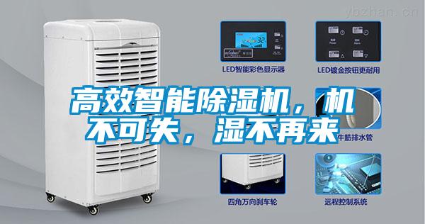 高效智能除濕機(jī)，機(jī)不可失，濕不再來