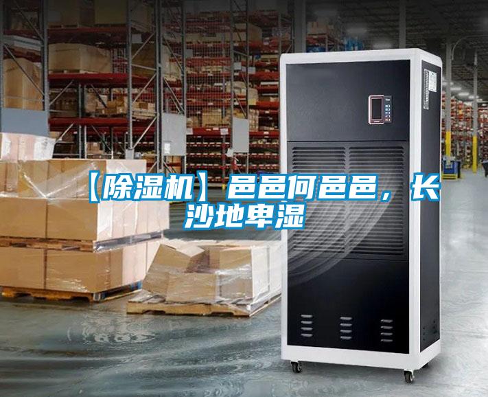 【除濕機(jī)】邑邑何邑邑，長(zhǎng)沙地卑濕