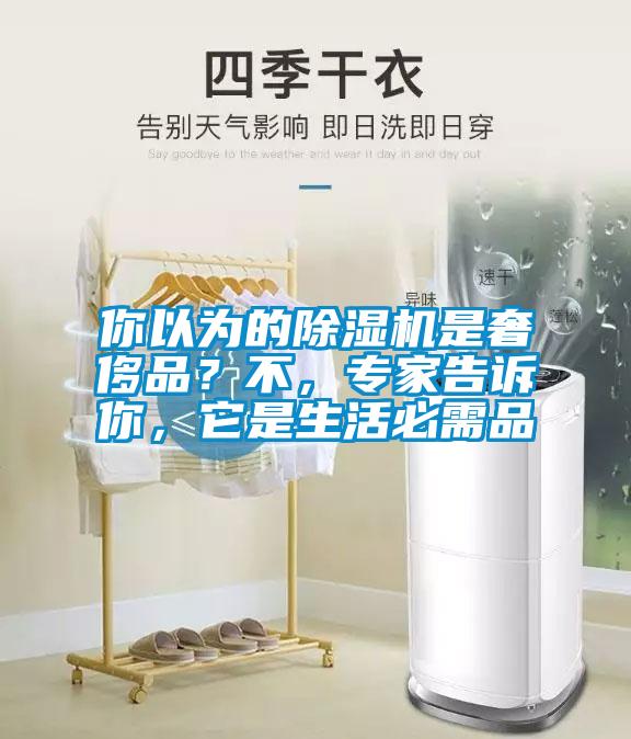 你以為的除濕機(jī)是奢侈品？不，專家告訴你，它是生活必需品