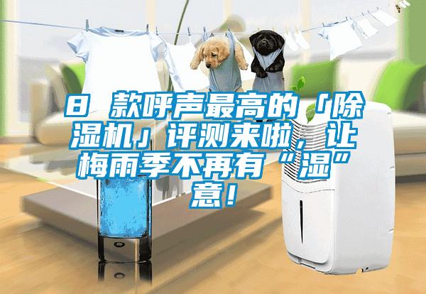 8 款呼聲最高的「除濕機(jī)」評測來啦，讓梅雨季不再有“濕”意！