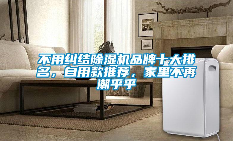 不用糾結(jié)除濕機(jī)品牌十大排名，自用款推薦，家里不再潮乎乎