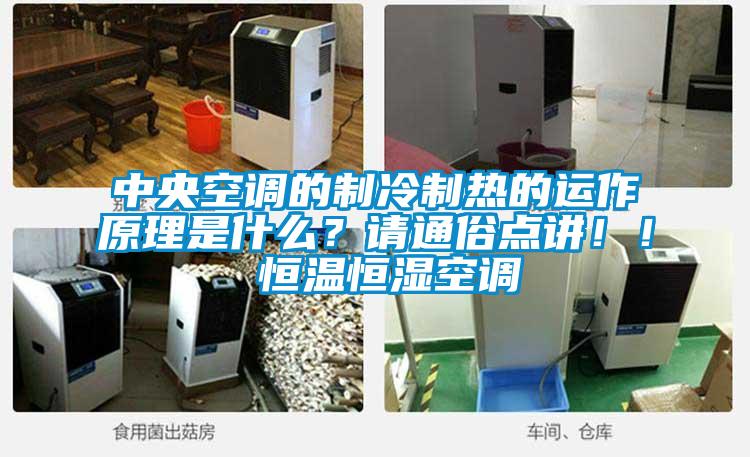 中央空調(diào)的制冷制熱的運(yùn)作原理是什么？請(qǐng)通俗點(diǎn)講！！ 恒溫恒濕空調(diào)