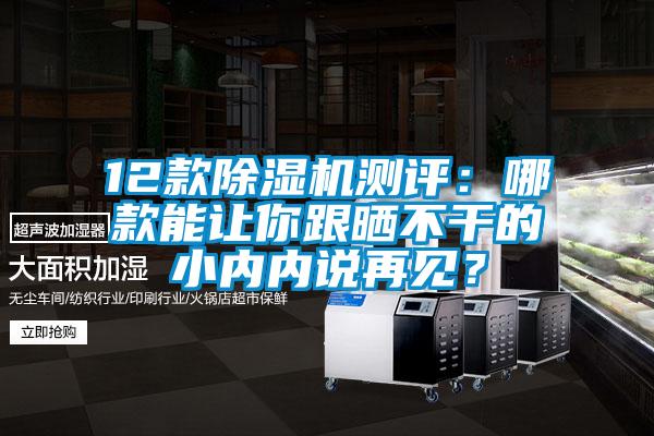 12款除濕機(jī)測(cè)評(píng)：哪款能讓你跟曬不干的小內(nèi)內(nèi)說(shuō)再見(jiàn)？