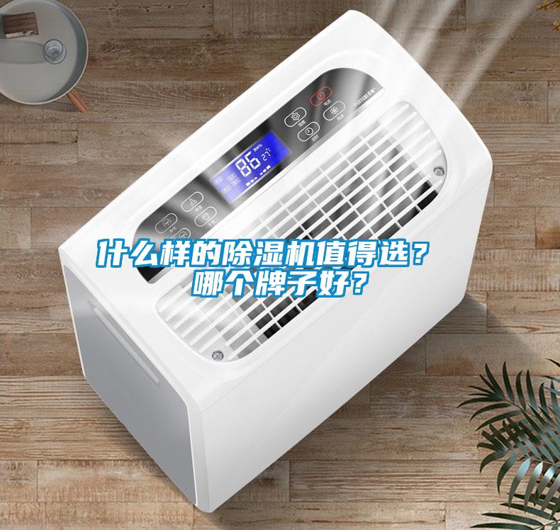 什么樣的除濕機(jī)值得選？ 哪個(gè)牌子好？
