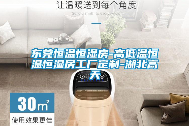 東莞恒溫恒濕房-高低溫恒溫恒濕房工廠(chǎng)定制-湖北高天
