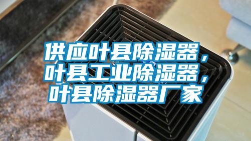 供應葉縣除濕器，葉縣工業(yè)除濕器，葉縣除濕器廠家
