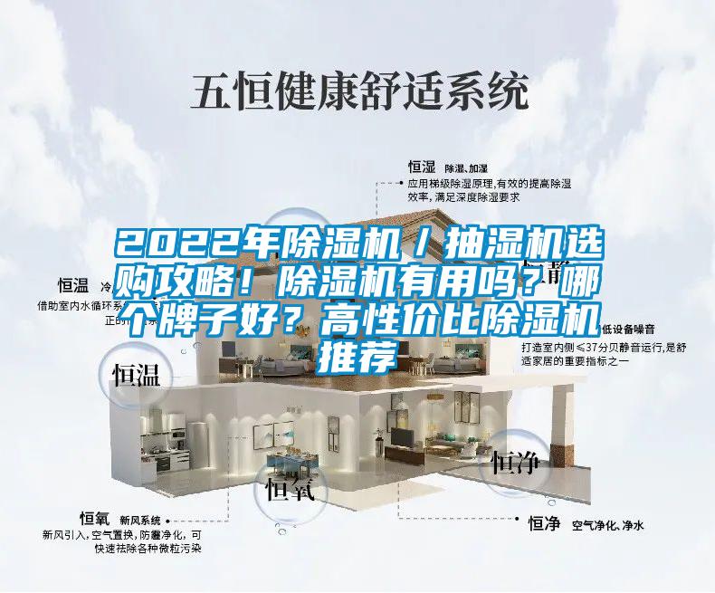 2022年除濕機(jī)／抽濕機(jī)選購(gòu)攻略！除濕機(jī)有用嗎？哪個(gè)牌子好？高性價(jià)比除濕機(jī)推薦
