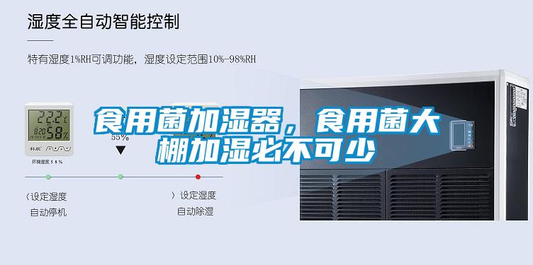 食用菌加濕器，食用菌大棚加濕必不可少