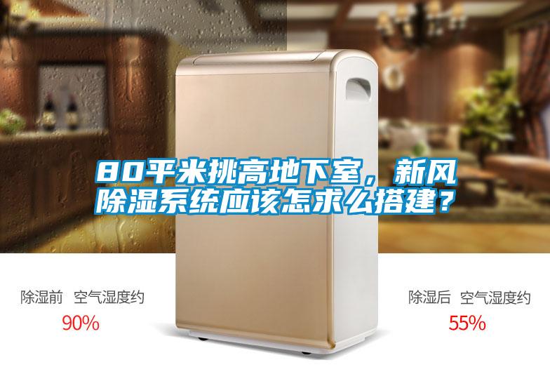 80平米挑高地下室，新風(fēng)除濕系統(tǒng)應(yīng)該怎求么搭建？