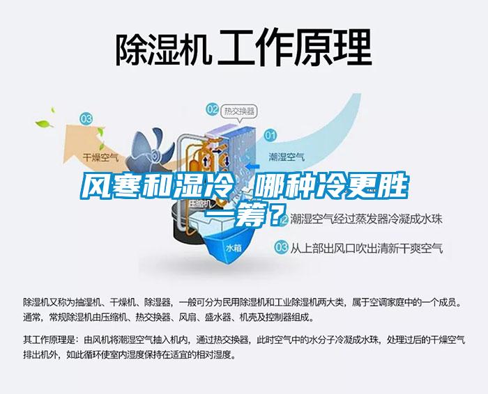 風寒和濕冷 哪種冷更勝一籌？