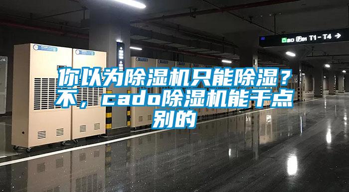 你以為除濕機只能除濕？不，cado除濕機能干點別的