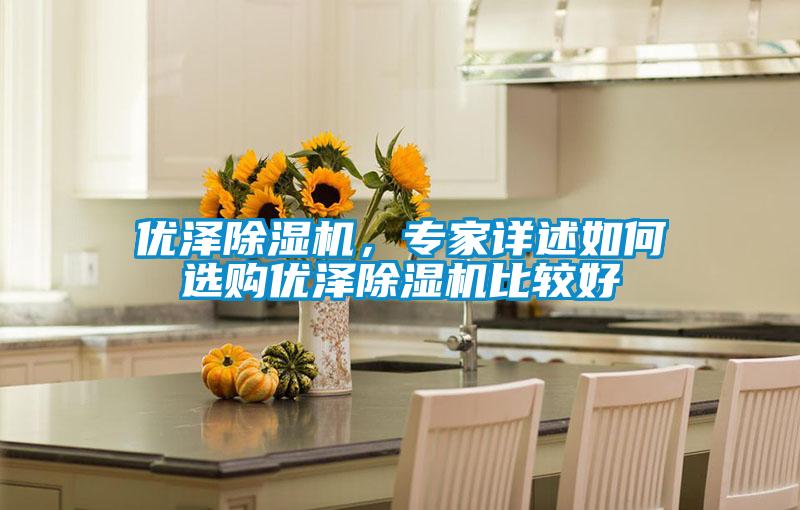 優(yōu)澤除濕機(jī)，專(zhuān)家詳述如何選購(gòu)優(yōu)澤除濕機(jī)比較好