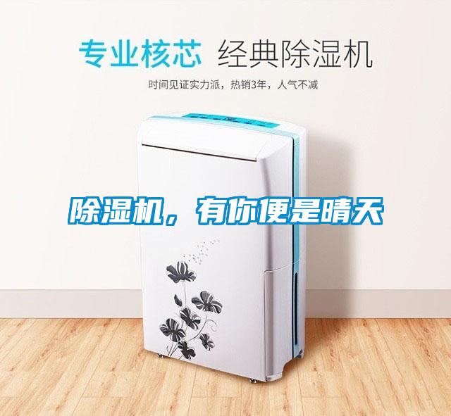除濕機(jī)，有你便是晴天