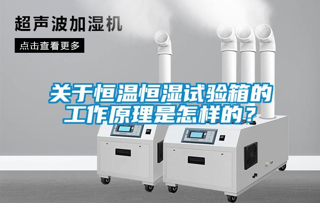 關(guān)于恒溫恒濕試驗(yàn)箱的工作原理是怎樣的？