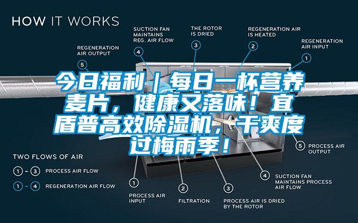 今日福利｜每日一杯營養(yǎng)麥片，健康又落味！宜盾普高效除濕機(jī)，干爽度過梅雨季！