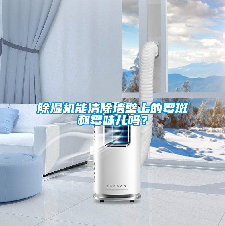 除濕機(jī)能清除墻壁上的霉斑和霉味兒嗎？