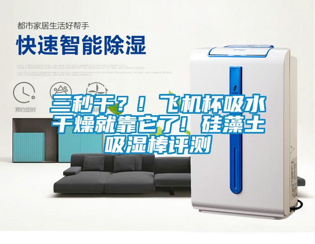 三秒干？! 飛機杯吸水干燥就靠它了! 硅藻土吸濕棒評測