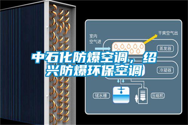 中石化防爆空調(diào)，紹興防爆環(huán)?？照{(diào)