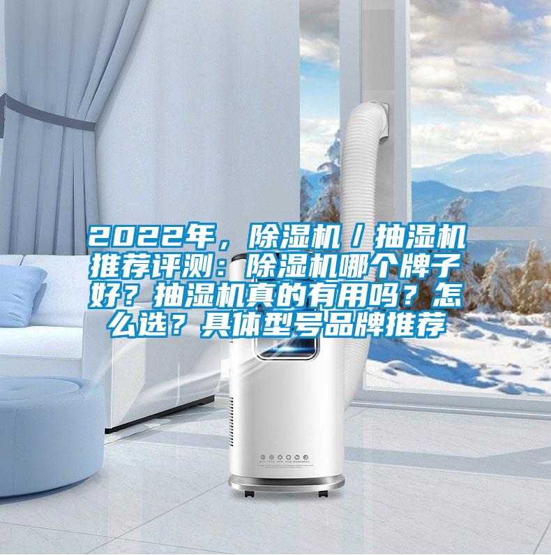 2022年，除濕機／抽濕機推薦評測：除濕機哪個牌子好？抽濕機真的有用嗎？怎么選？具體型號品牌推薦