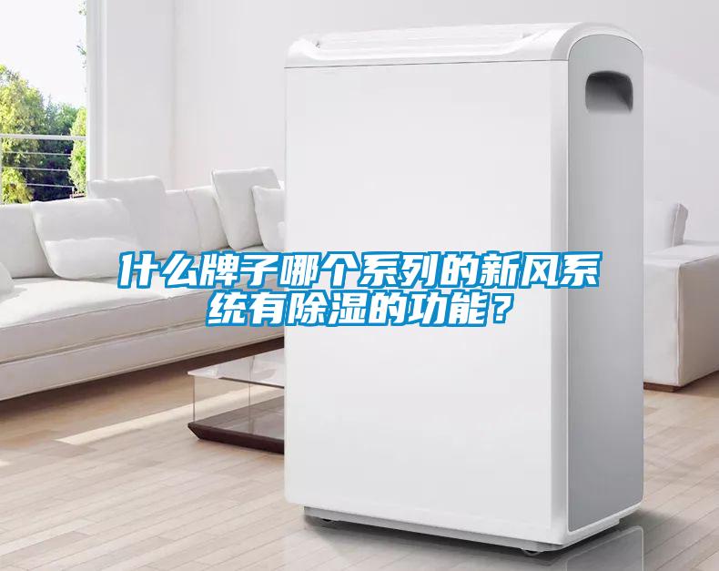 什么牌子哪個系列的新風系統(tǒng)有除濕的功能？