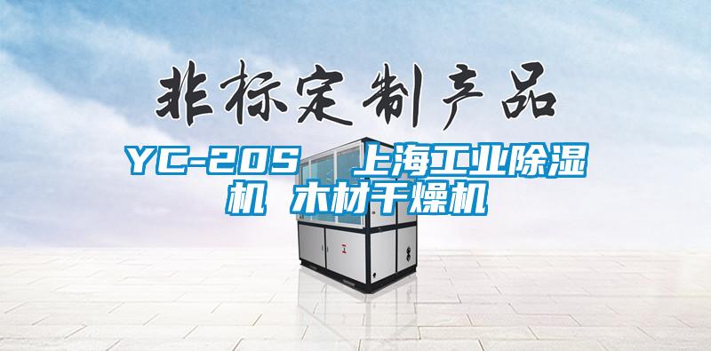 YC-20S 上海工業(yè)除濕機 木材干燥機