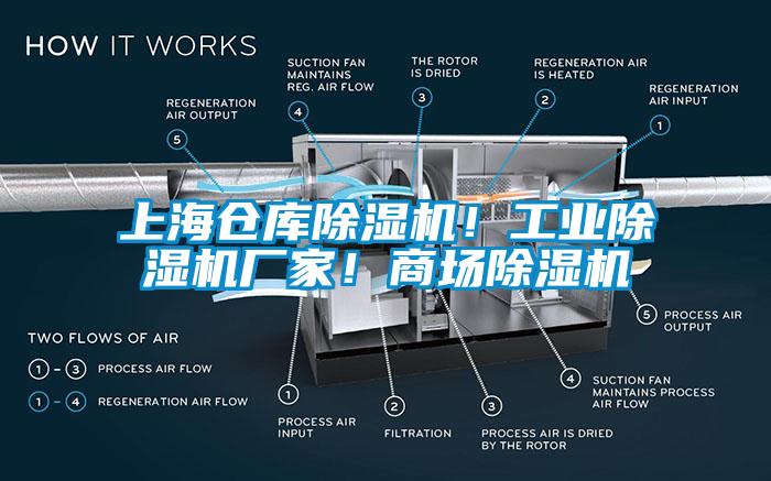 上海倉(cāng)庫(kù)除濕機(jī)！工業(yè)除濕機(jī)廠家！商場(chǎng)除濕機(jī)