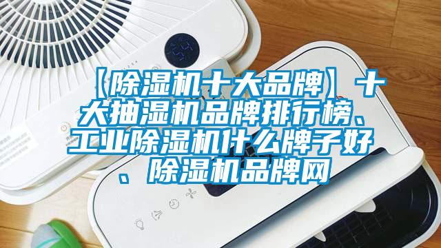 【除濕機十大品牌】十大抽濕機品牌排行榜、工業(yè)除濕機什么牌子好、除濕機品牌網(wǎng)