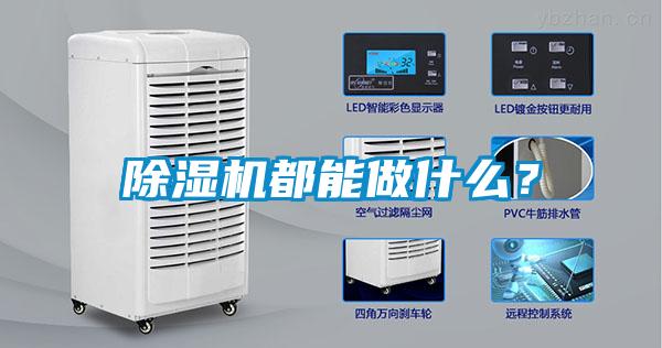 除濕機(jī)都能做什么？