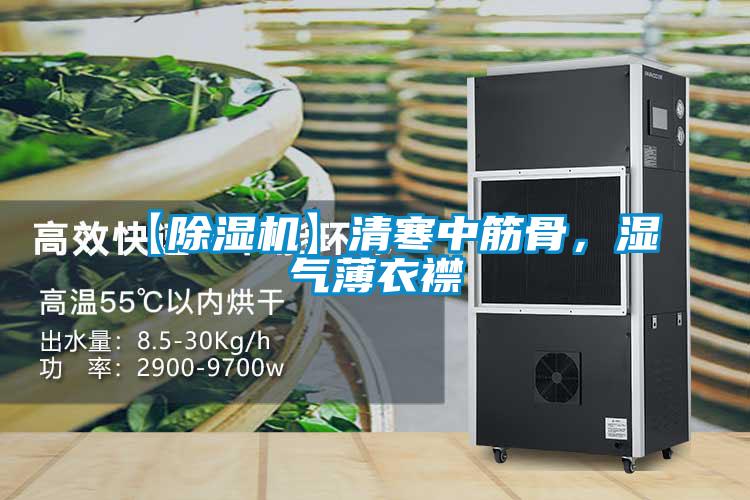 【除濕機(jī)】清寒中筋骨，濕氣薄衣襟