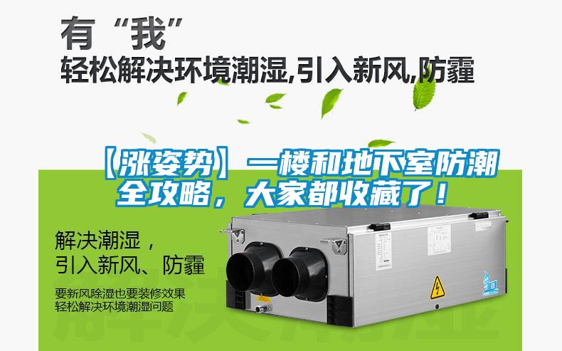 【漲姿勢】一樓和地下室防潮全攻略，大家都收藏了！
