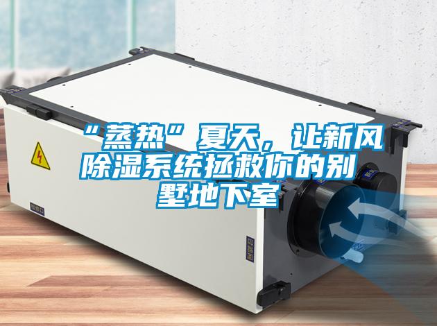 “蒸熱”夏天，讓新風(fēng)除濕系統(tǒng)拯救你的別墅地下室