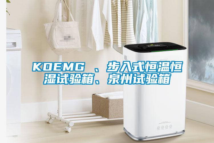 KOEMG 、步入式恒溫恒濕試驗箱、泉州試驗箱