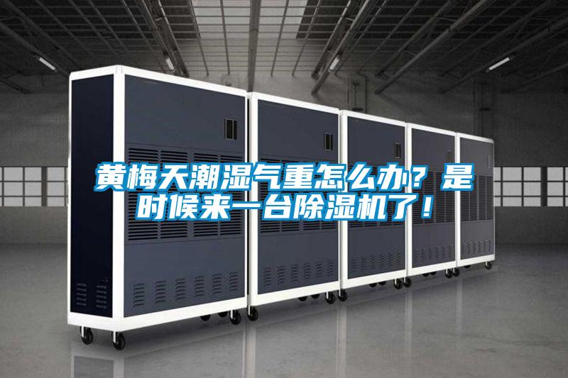 黃梅天潮濕氣重怎么辦？是時候來一臺除濕機了！