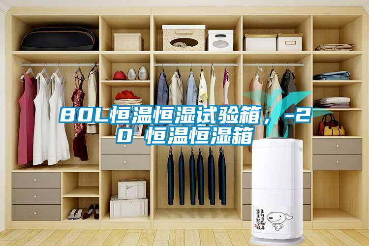 80L恒溫恒濕試驗(yàn)箱，-20℃恒溫恒濕箱