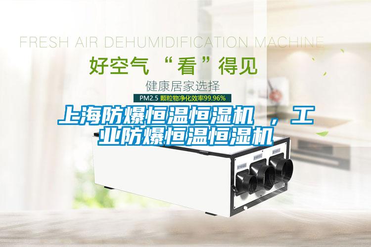 上海防爆恒溫恒濕機(jī) ，工業(yè)防爆恒溫恒濕機(jī)