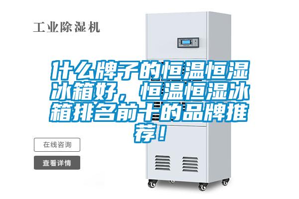 什么牌子的恒溫恒濕冰箱好，恒溫恒濕冰箱排名前十的品牌推薦！