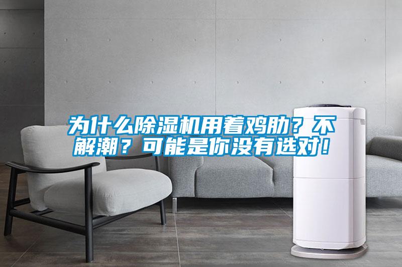 為什么除濕機用著雞肋？不解潮？可能是你沒有選對！