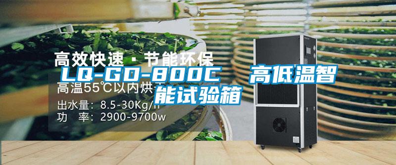 LQ-GD-800C 高低溫智能試驗(yàn)箱